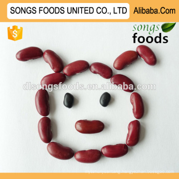 Wholesale small red beans, new crop